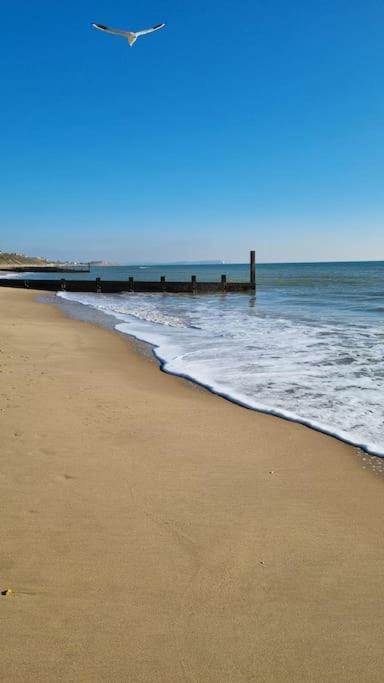 Cosy Bournemouth Bungalow ファーンダウン エクステリア 写真
